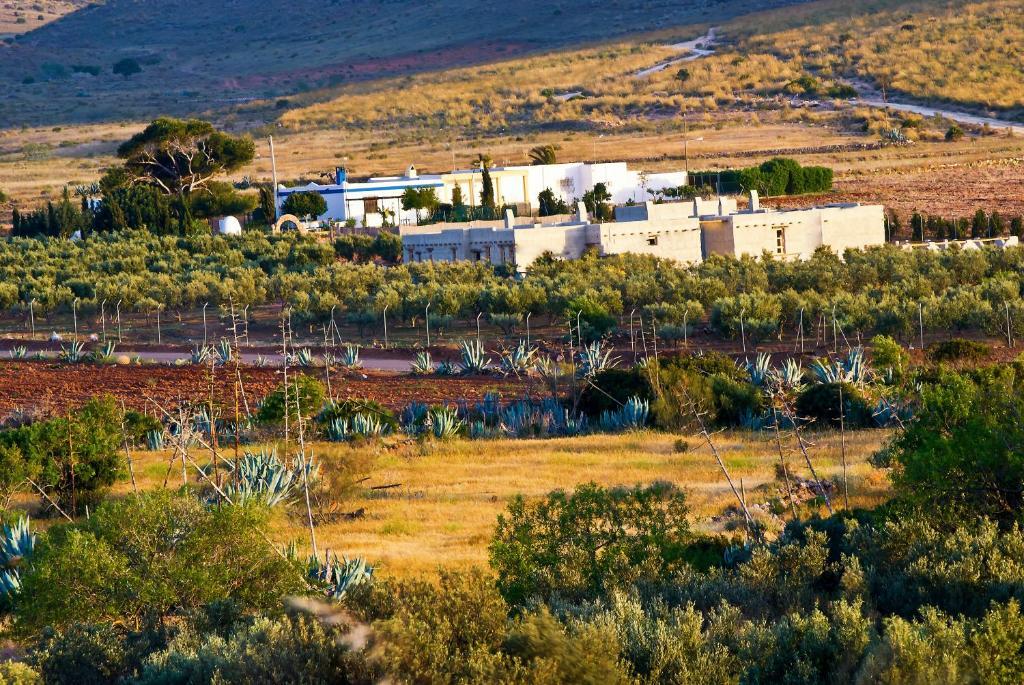 Olivares Rural Лос-Альбарикокес Экстерьер фото